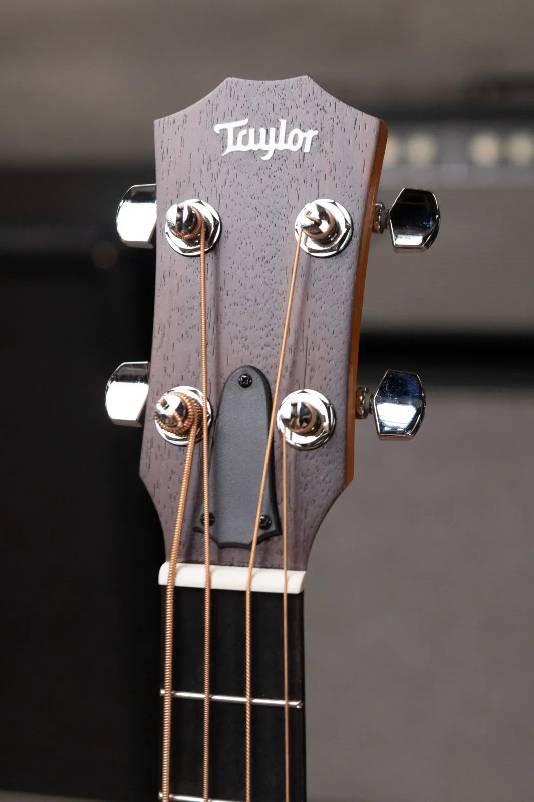 Taylor GS Mini-e Bass Sapele with GS Mini Bag