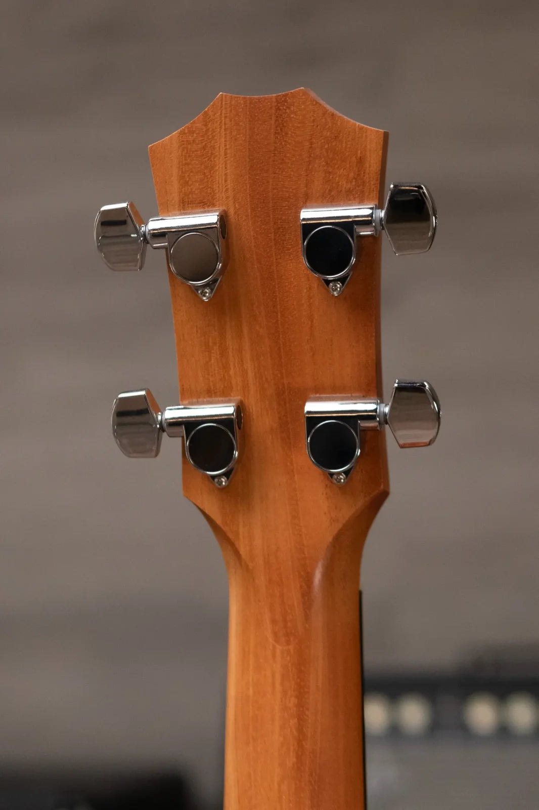 Taylor GS Mini-e Bass Sapele with GS Mini Bag
