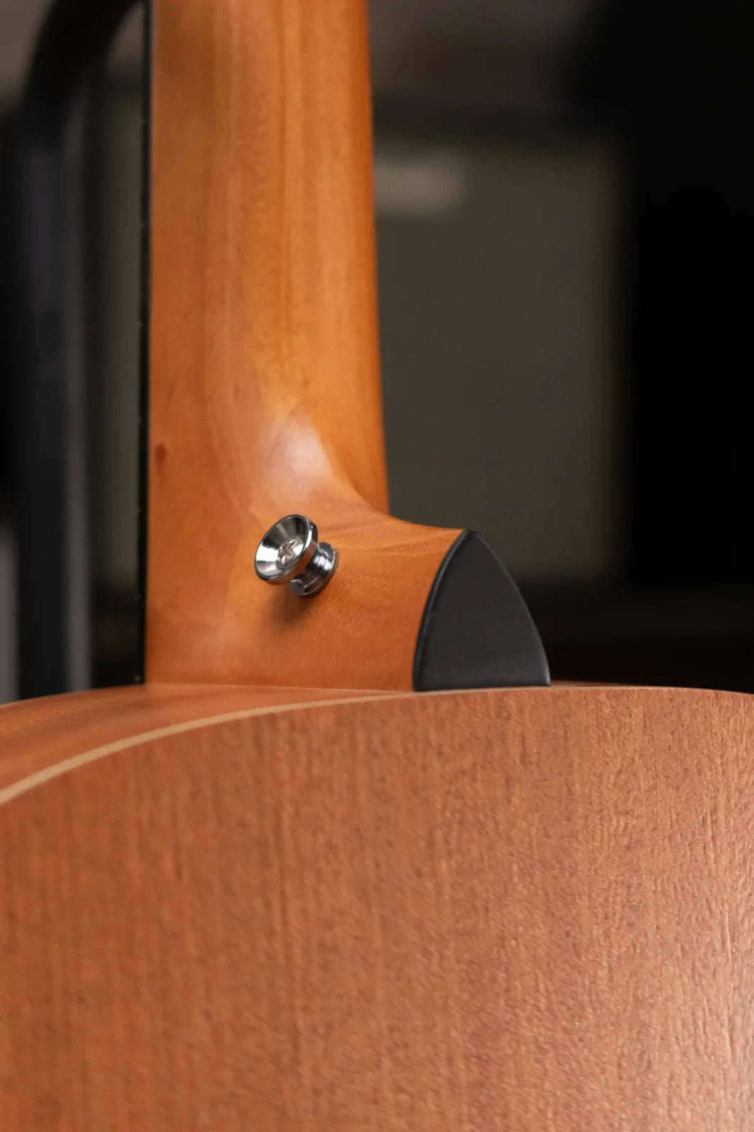 Taylor GS Mini-e Bass Sapele with GS Mini Bag