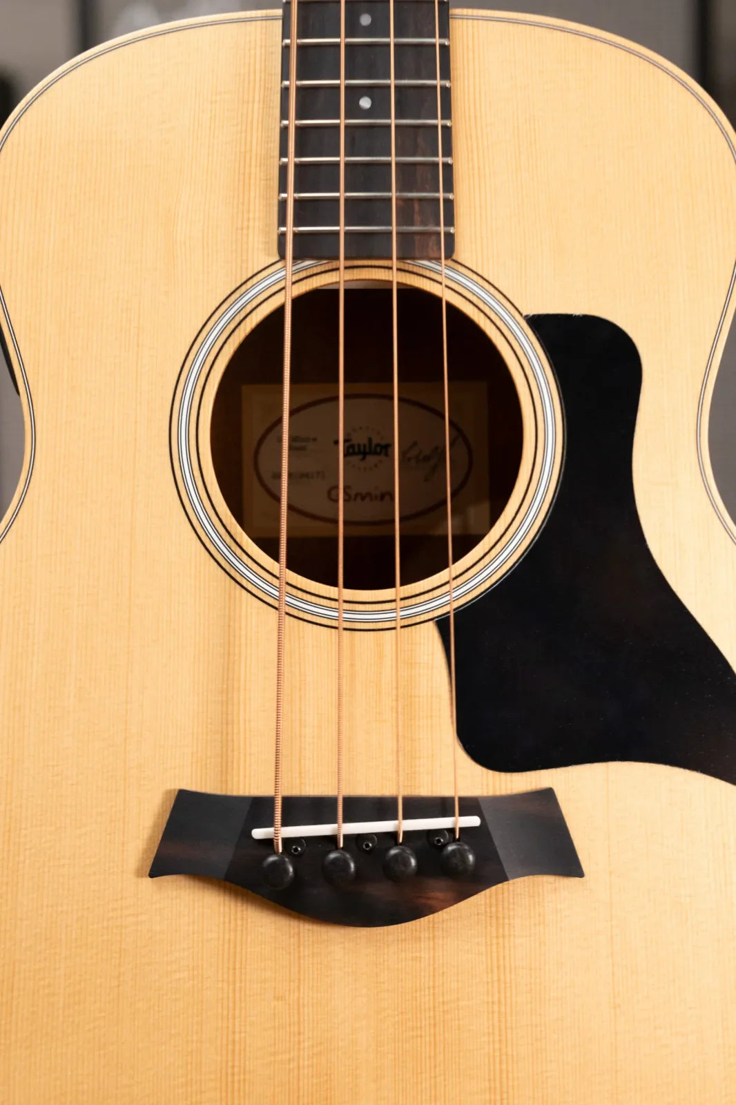 Taylor GS Mini-e Bass Sapele with GS Mini Bag
