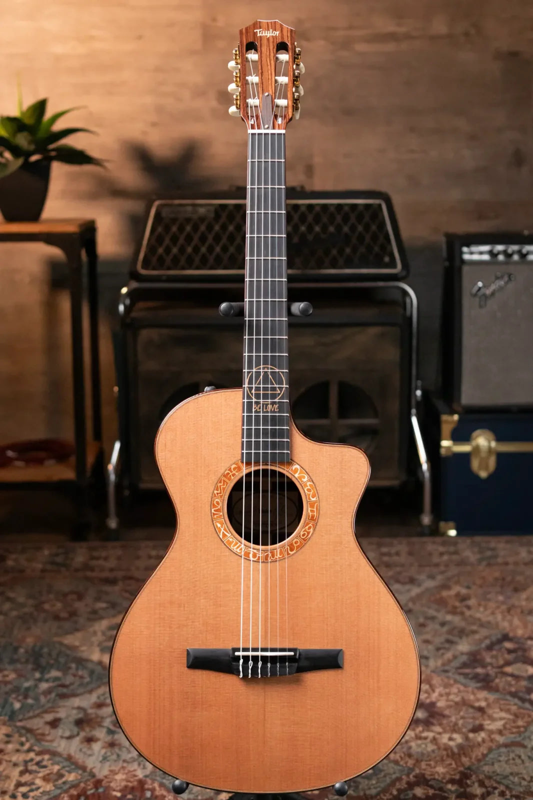 Taylor JMSM Jason Mraz Signature Nylon Acoustic/Electric with Hardshell Case