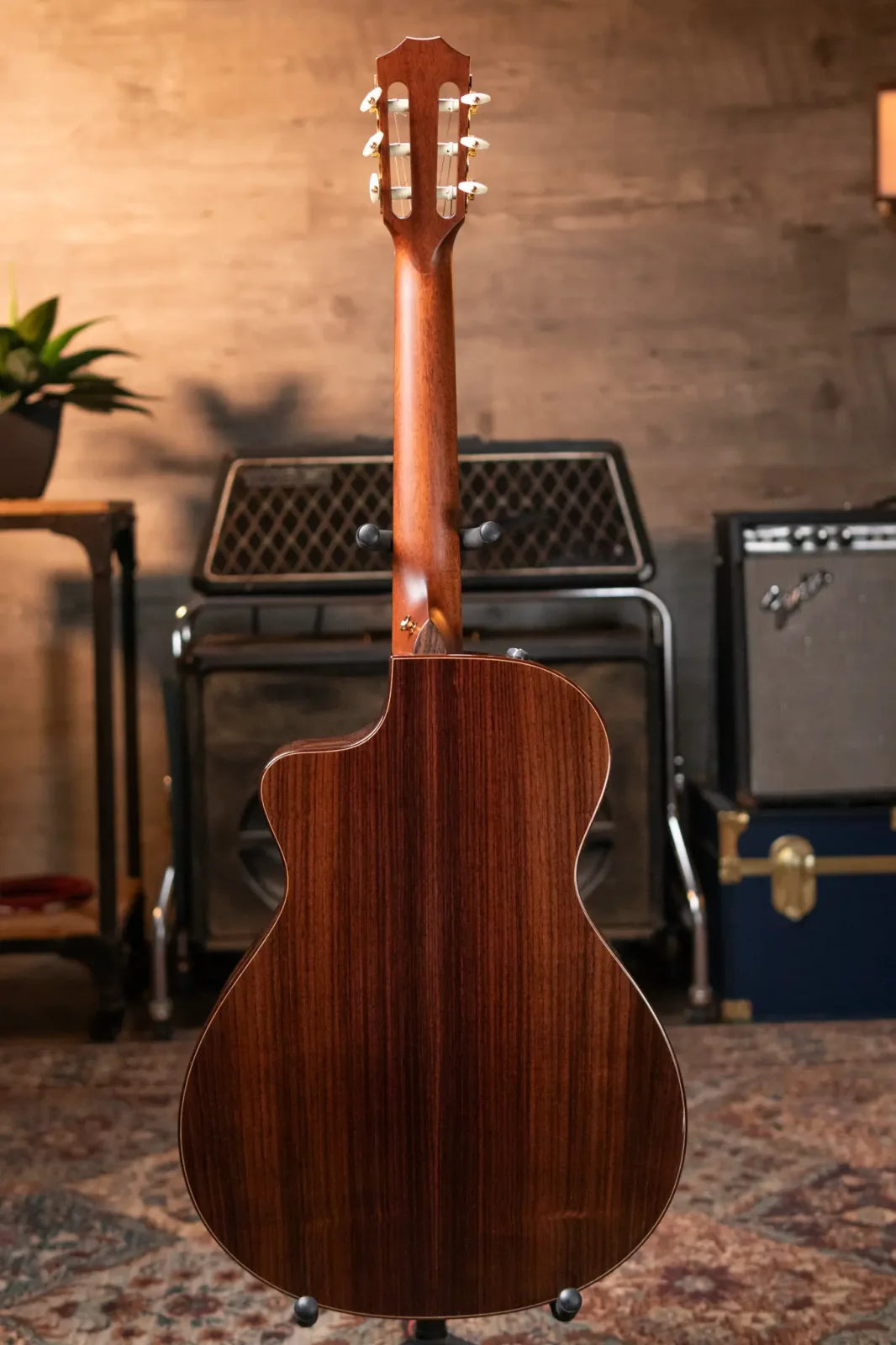 Taylor JMSM Jason Mraz Signature Nylon Acoustic/Electric with Hardshell Case
