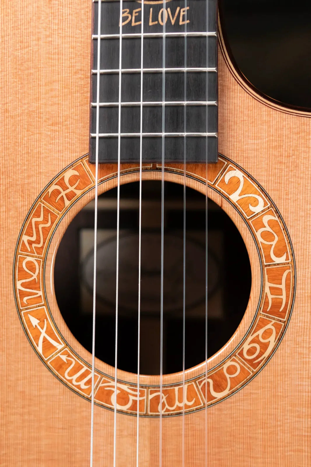 Taylor JMSM Jason Mraz Signature Nylon Acoustic/Electric with Hardshell Case