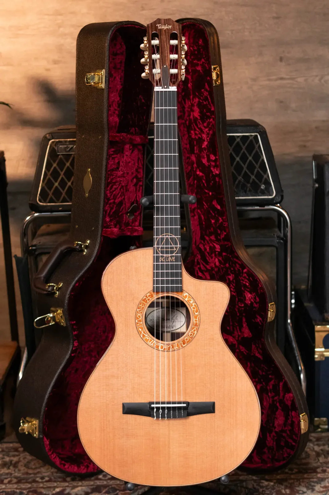 Taylor JMSM Jason Mraz Signature Nylon Acoustic/Electric with Hardshell Case
