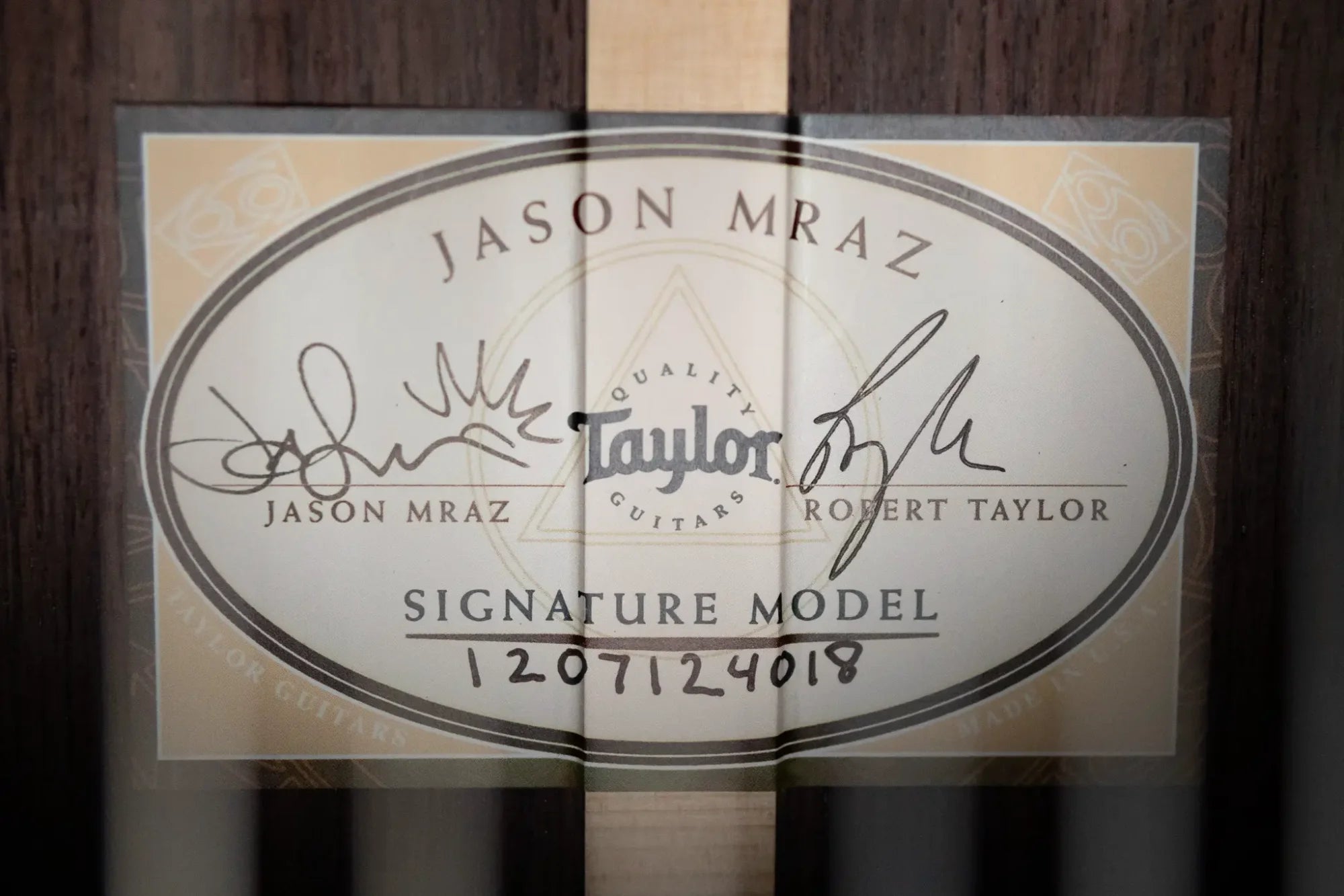 Taylor JMSM Jason Mraz Signature Nylon Acoustic/Electric with Hardshell Case