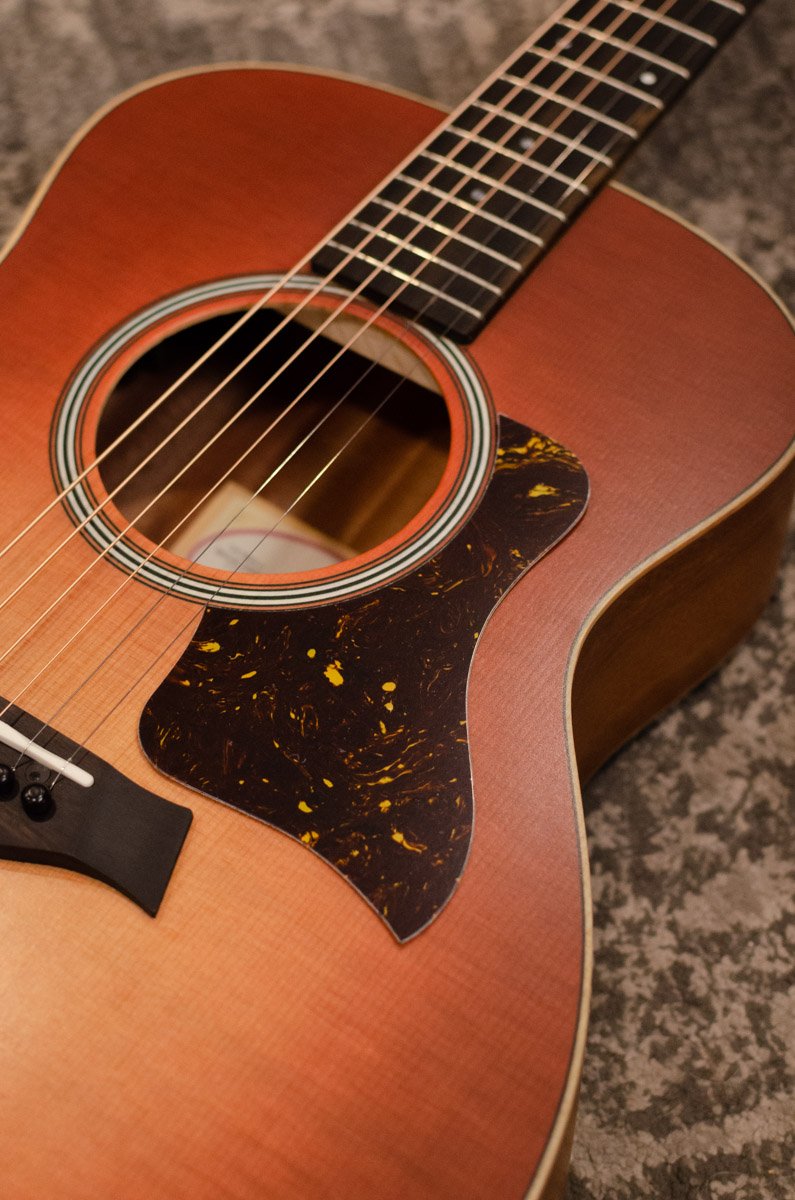 Taylor Pickgaurd, GS Mini- Tortoise