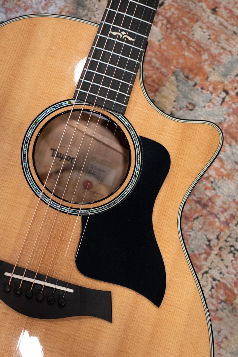 new Taylor Pickguard Right Hand GA GS 5 Black haggertys 2