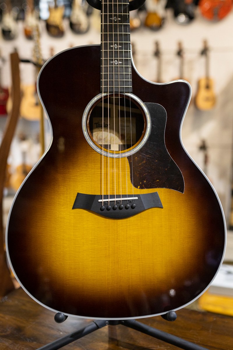 Taylor 414ce-R Rosewood Grand Auditorium Acoustic/Electric Guitar with Deluxe Hardshell Case