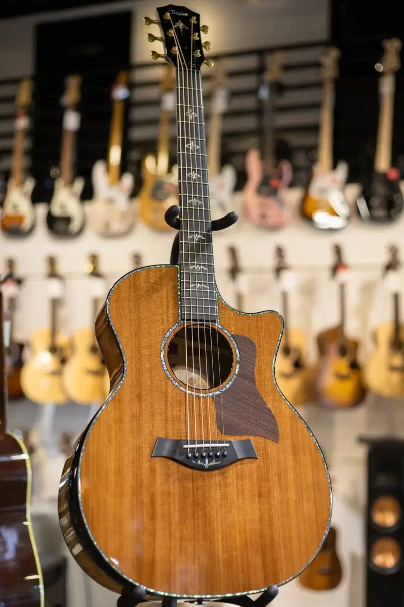 Taylor Custom Shop Grand Auditorium Honduran Rosewood/Sinker Redwood with Hardshell Case - Factory Demo