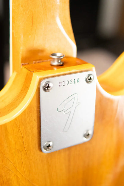 1968 Fender Coronado Bass II - Wildwood