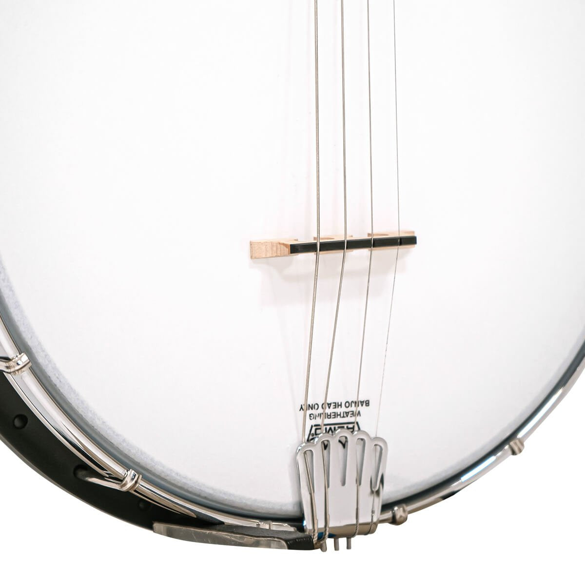 DISPLAY Gold Tone AC-4 Acoustic Composite Tenor Banjo