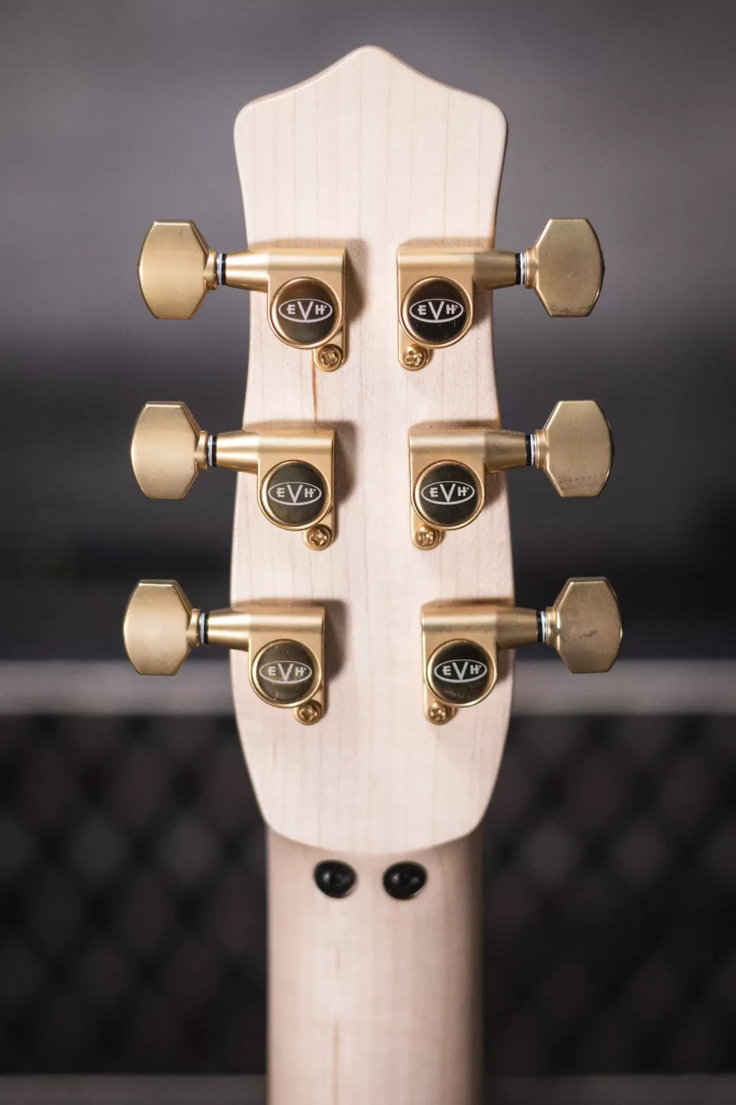 EVH Limited Edition Star, Ebony Fingerboard - Stealth Black with Gold Hardware and Star/Shark Economy Gig Bag - Floor Model