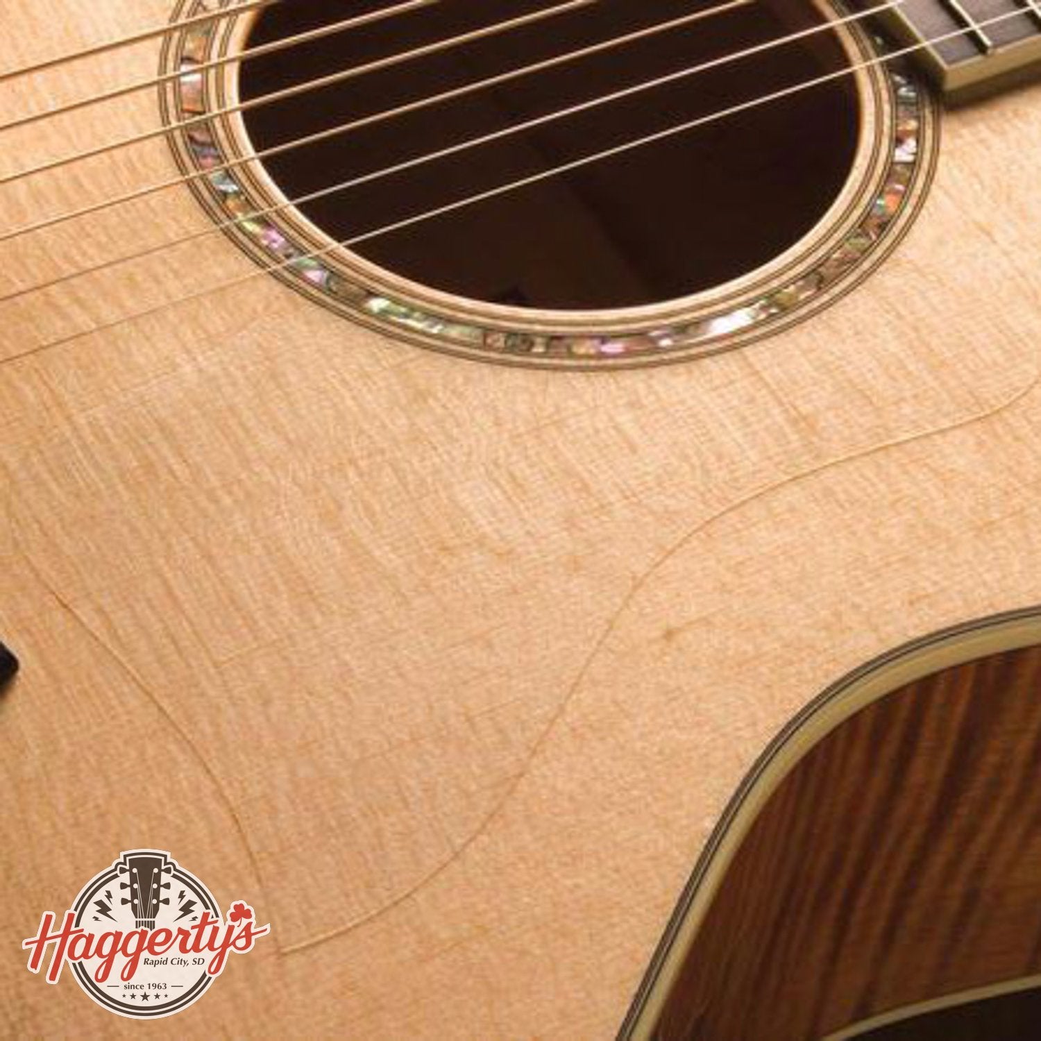 Taylor Pickguard Static Universal