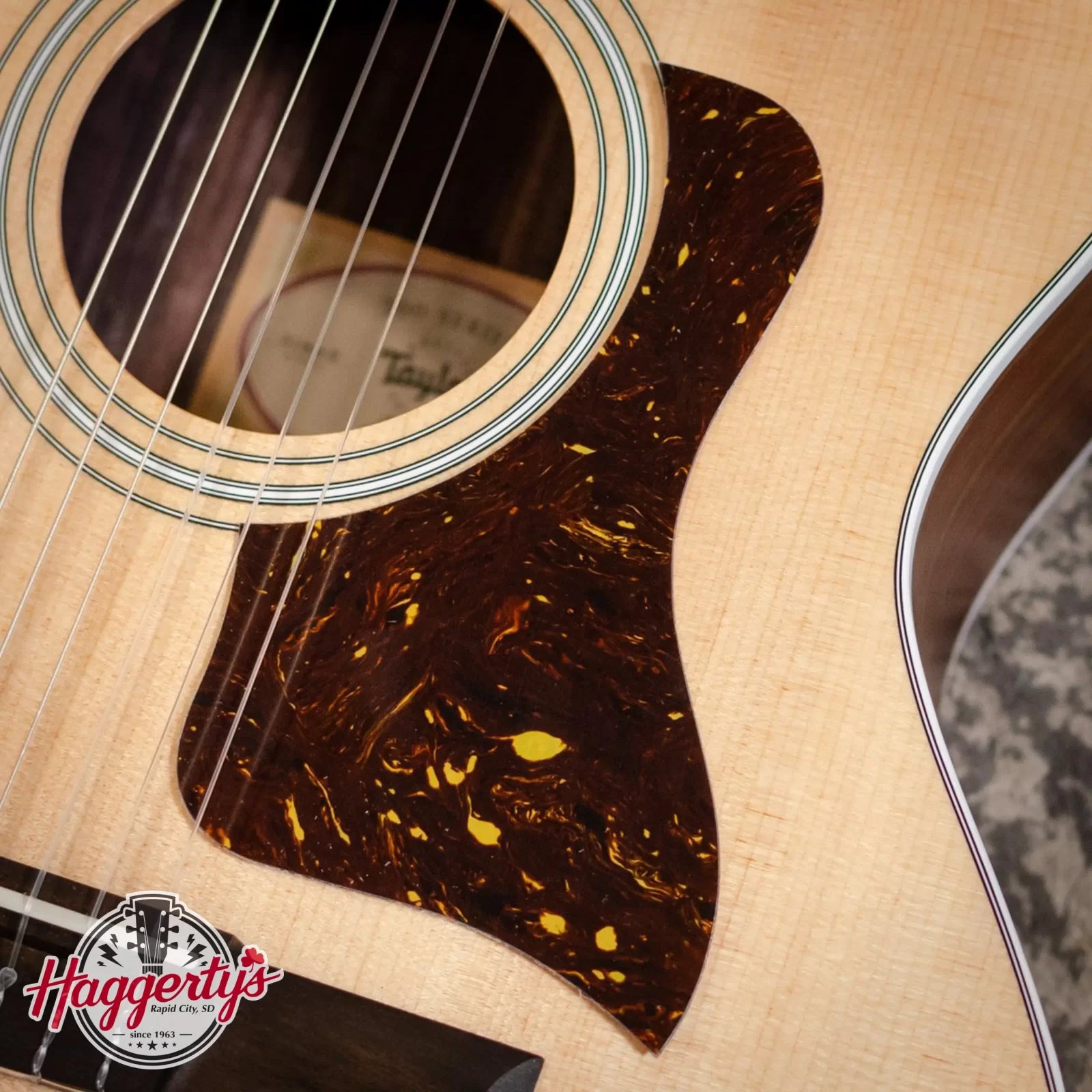 Taylor Pickguard Right Handed GA/GS 5.5" Tortoise