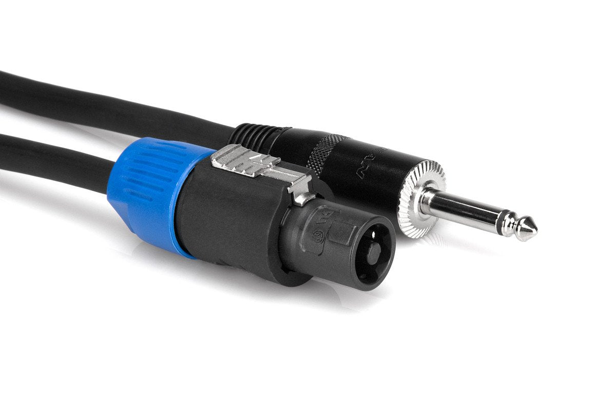 Hosa SKT-410Q Pro Speaker Cable REAN Loudspeaker to 1/4 in TS 10 ft