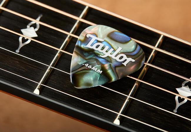 Taylor Celluloid 351 Guitar Picks, Abalone, 12-Pack, 0.96mm