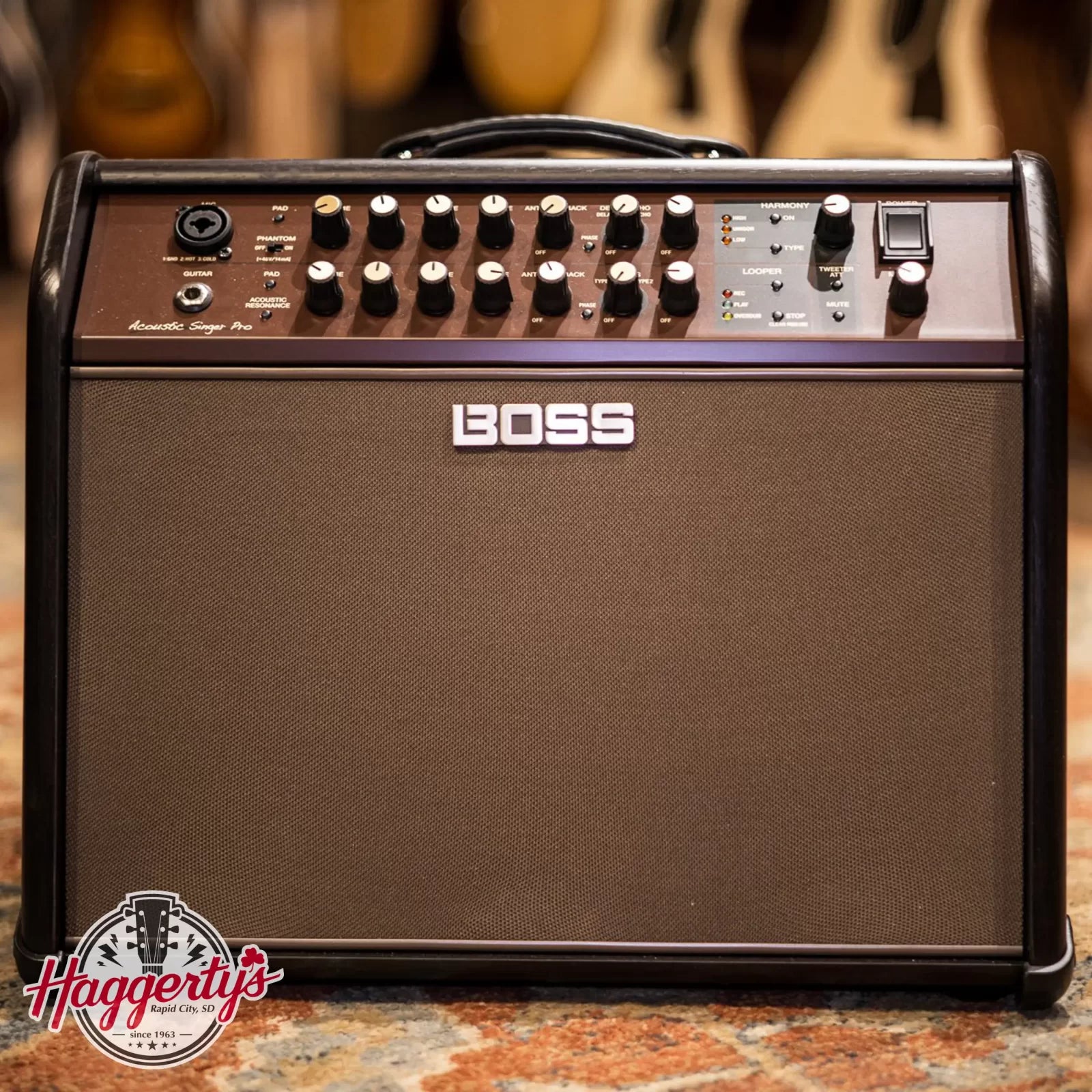 Boss Acoustic Singer Pro 120-watt Bi-amp Acoustic Combo Amplifier with FX