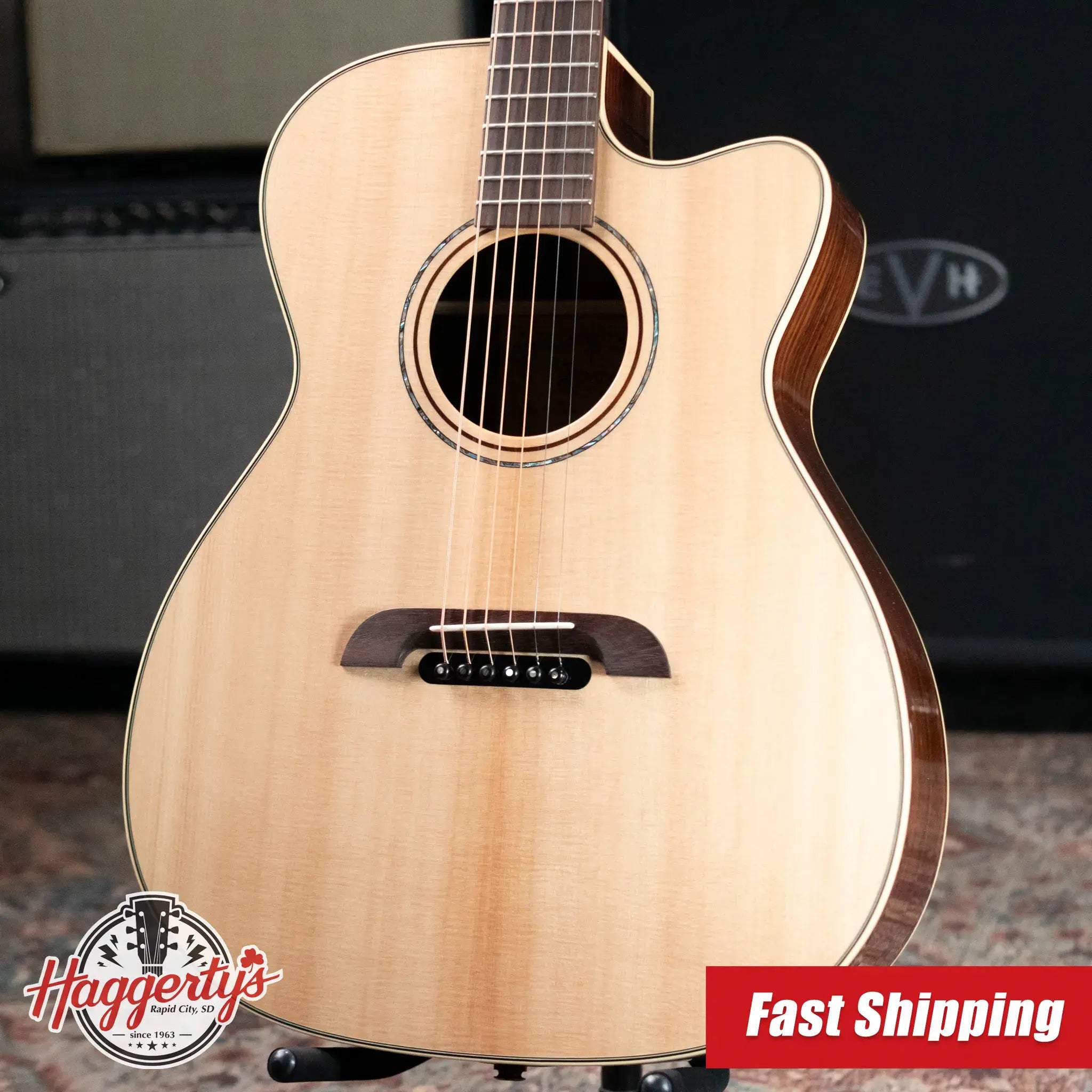Alvarez Yairi FY70ce Acoustic/Electric Guitar with Hardshell Case