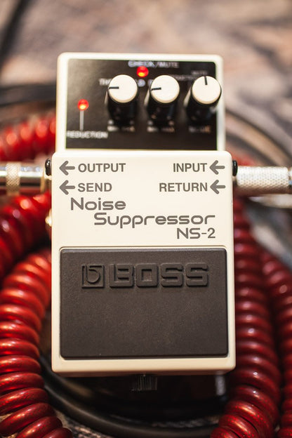 BOSS NOISE SUPPRESSOR NS 2 HAGGERTYS 02