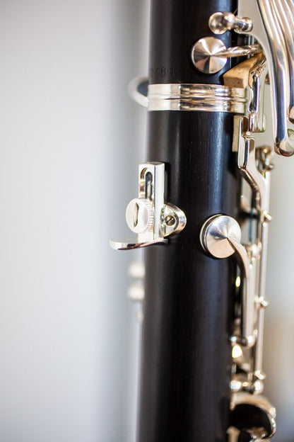 Buffet R13 Prestige Bb Professional Clarinet