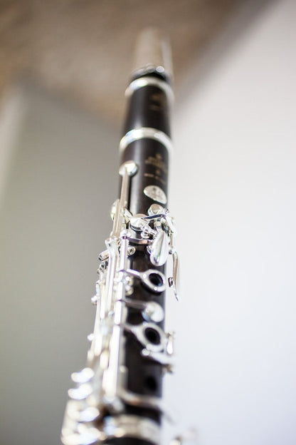 Buffet R13 Prestige Bb Professional Clarinet