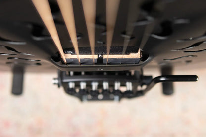 Beard Legacy-E HipShot DoubleShot Square Neck Resonator Guitar - Black Ice 2-Tone Custom Horse Chestnut with Hardshell Case