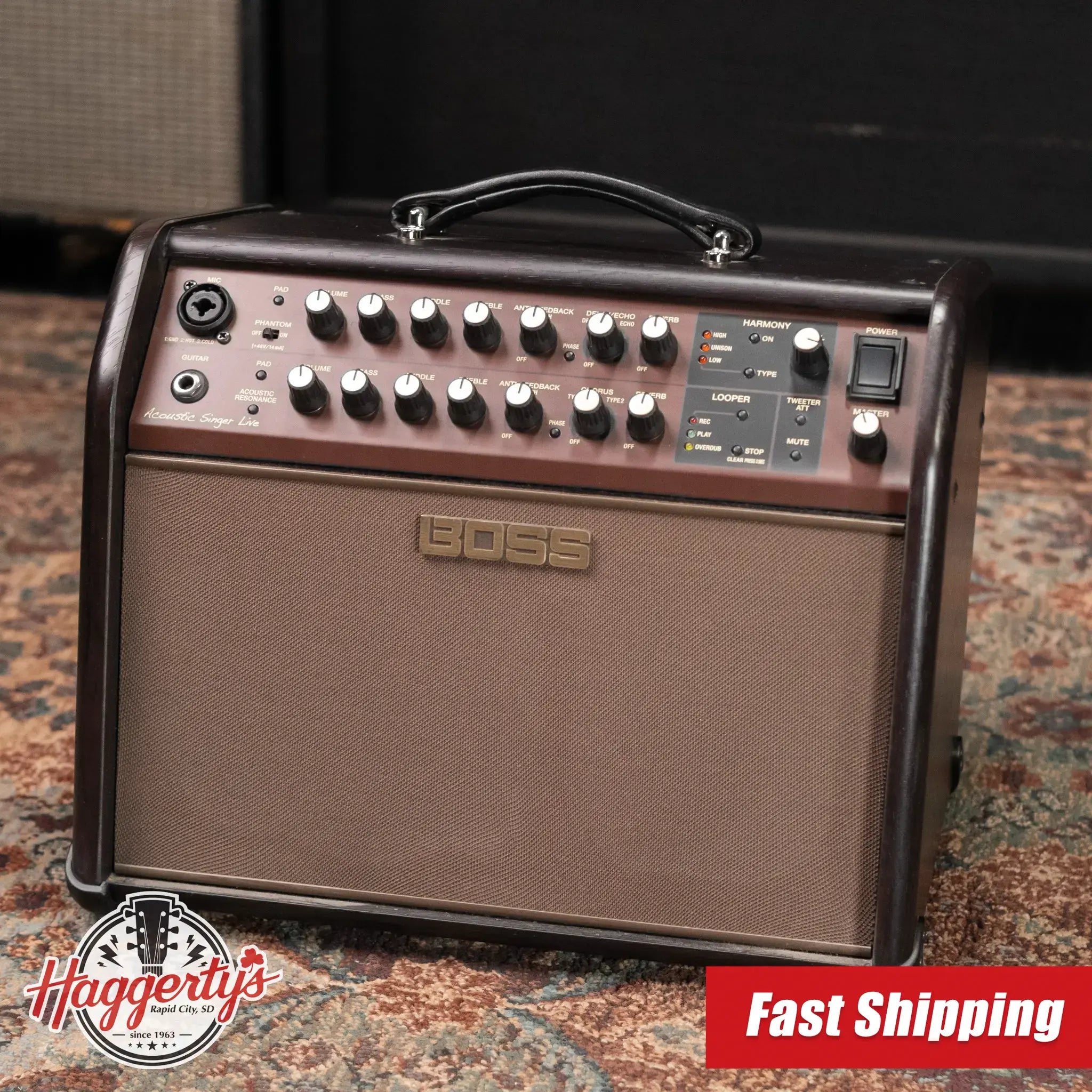 Boss Acoustic Singer Live 60-watt Bi-amp Acoustic Combo Amplifier with FX - Floor Model