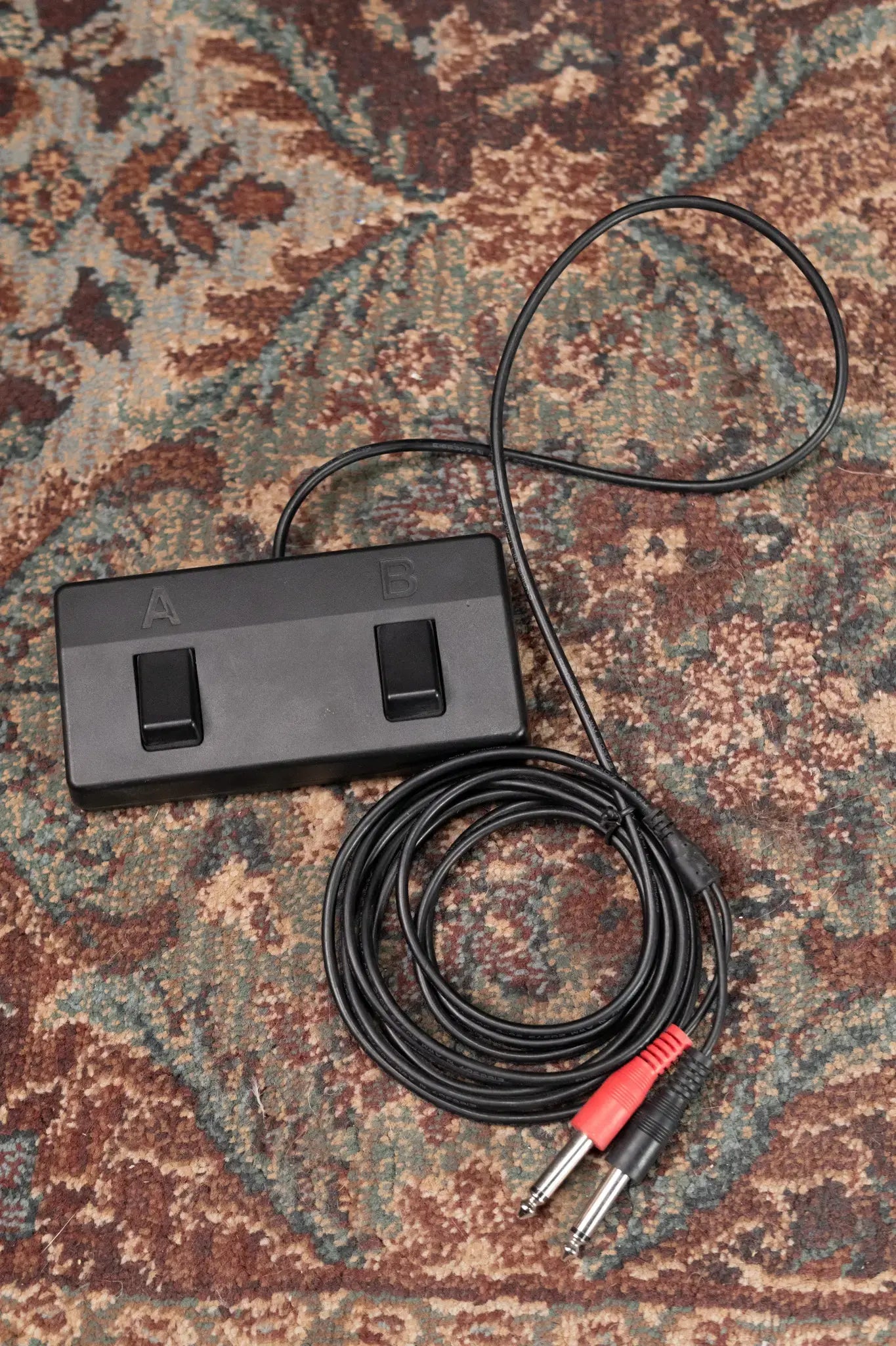 Boss Acoustic Singer Live 60-watt Bi-amp Acoustic Combo Amplifier with FX - Floor Model