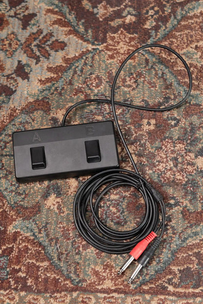 Boss Acoustic Singer Live 60-watt Bi-amp Acoustic Combo Amplifier with FX - Floor Model