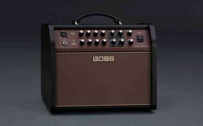 Boss Acoustic Singer Live LT 60-Watt Bi-Amp Acoustic Combo Amp
