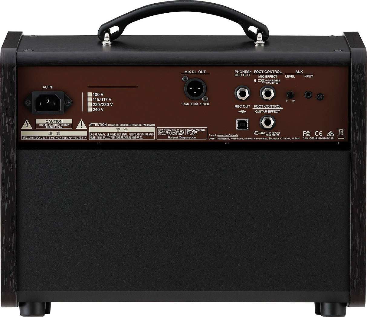 Boss Acoustic Singer Live LT 60-Watt Bi-Amp Acoustic Combo Amp