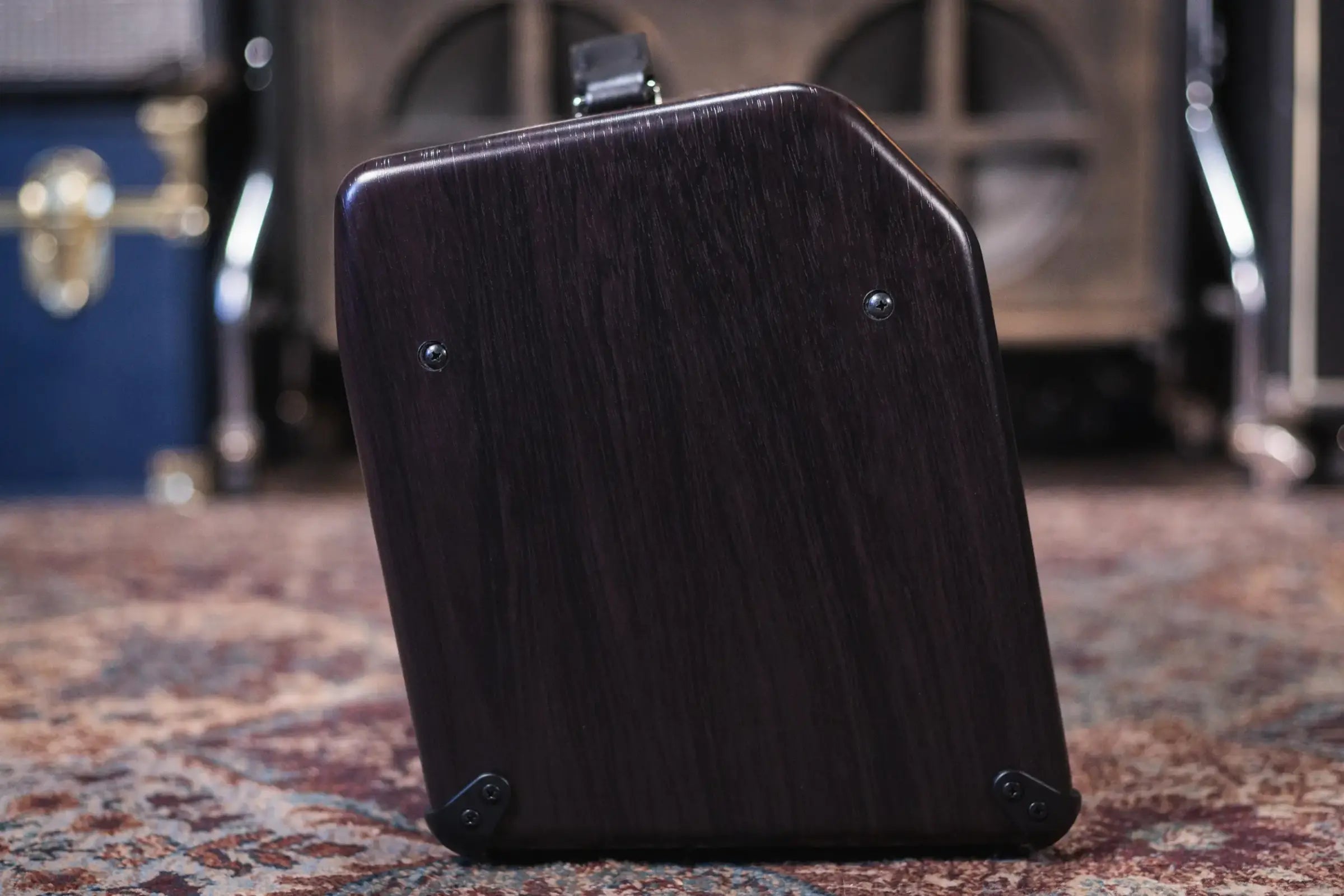 Boss Acoustic Singer Live LT 60-Watt Bi-Amp Acoustic Combo Amp