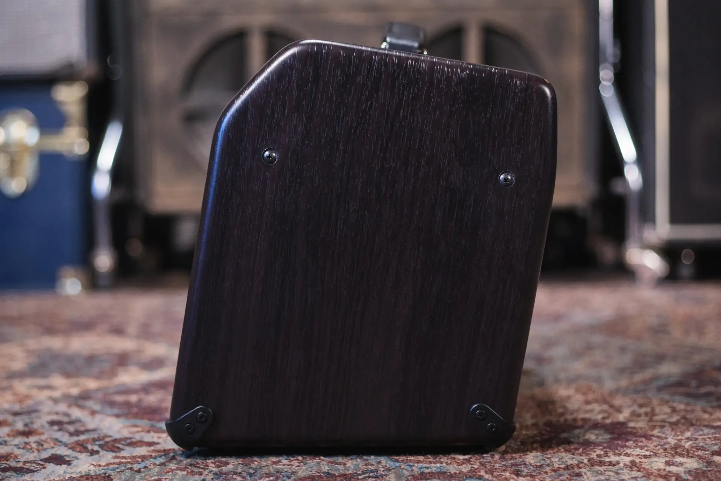 Boss Acoustic Singer Live LT 60-Watt Bi-Amp Acoustic Combo Amp