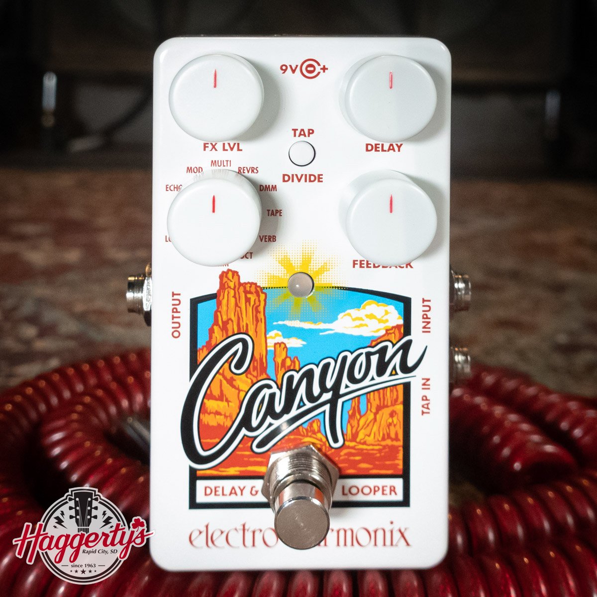 Electro-Harmonix - Canyon Delay & Looper Guitar Pedal