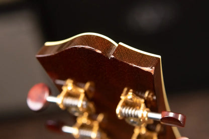 Collings CJ Rosewood Acoustic Guitar with Hardshell Case - Used