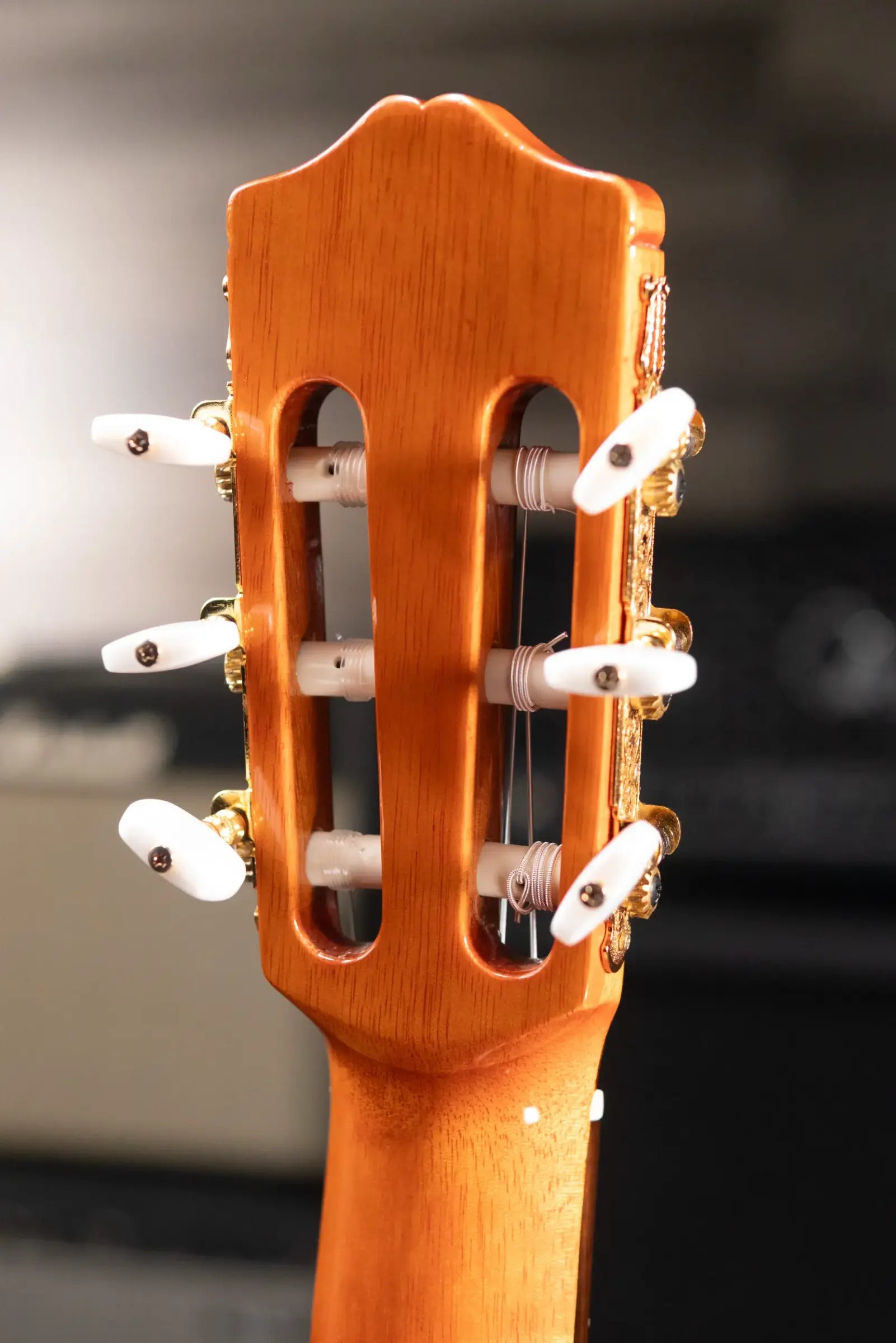 Cordoba C5 Classical Acoustic Guitar with Gig Bag - Used