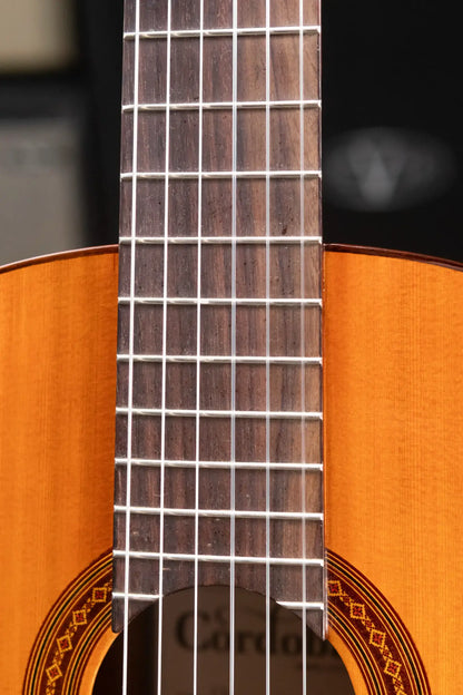 Cordoba C5 Classical Acoustic Guitar with Gig Bag - Used