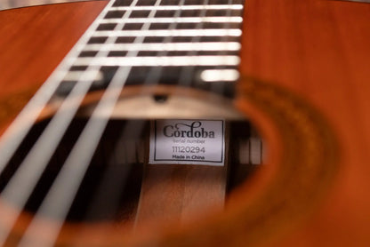 Cordoba C5 Classical Acoustic Guitar with Gig Bag - Used