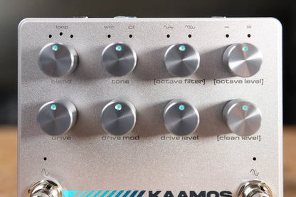 Darkglass KAAMOS Bass Octaver & Distortion Pedal
