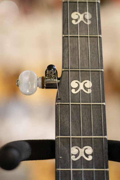 Deering Artisan Goodtime Special 5-String Banjo w/ Resonator
