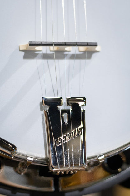 Deering Artisan Goodtime Special 5-String Banjo w/ Resonator