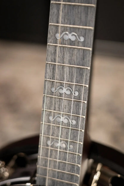Deering Artisan Goodtime Special 5-String Banjo with Resonator