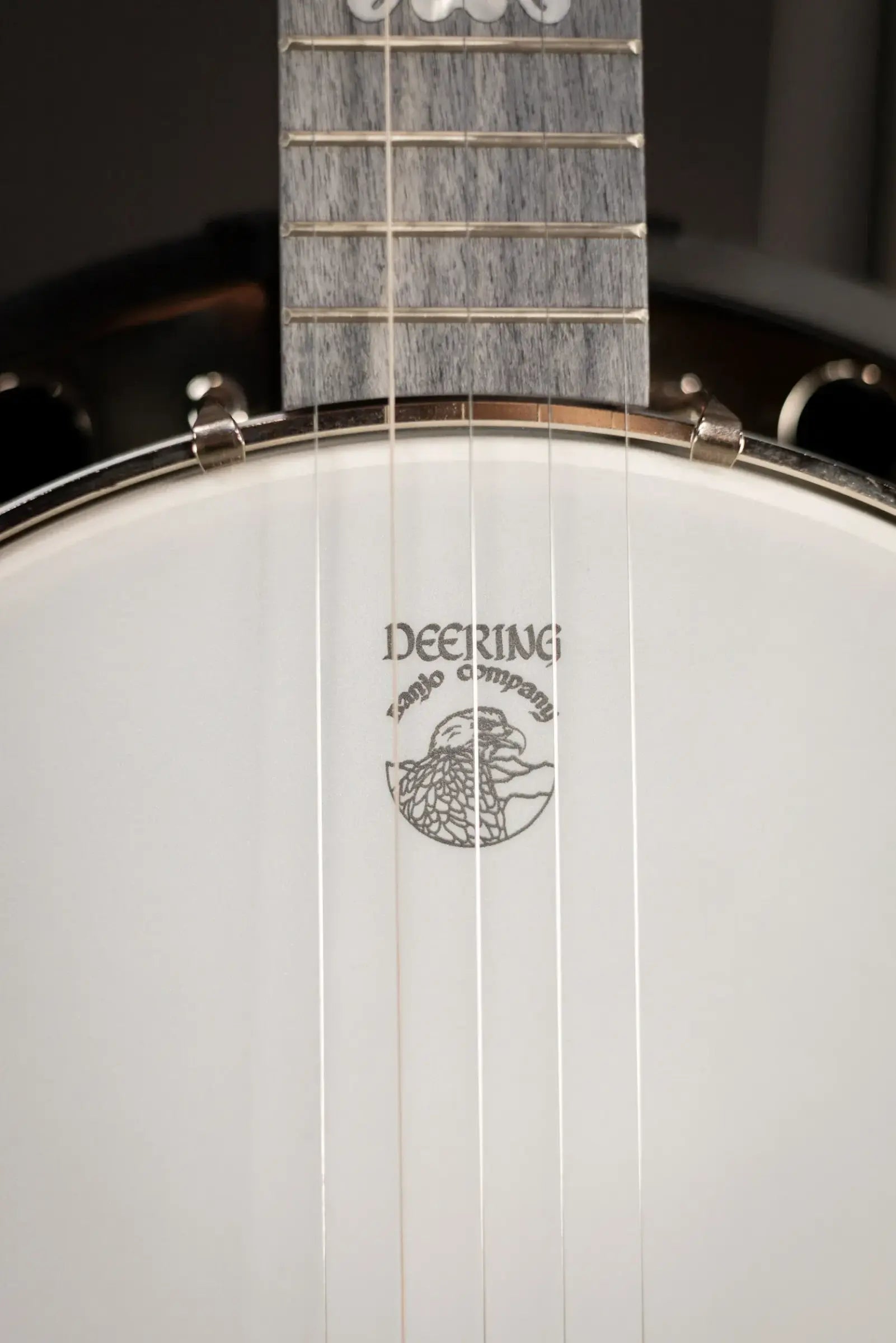 Deering Artisan Goodtime Special 5-String Banjo with Resonator