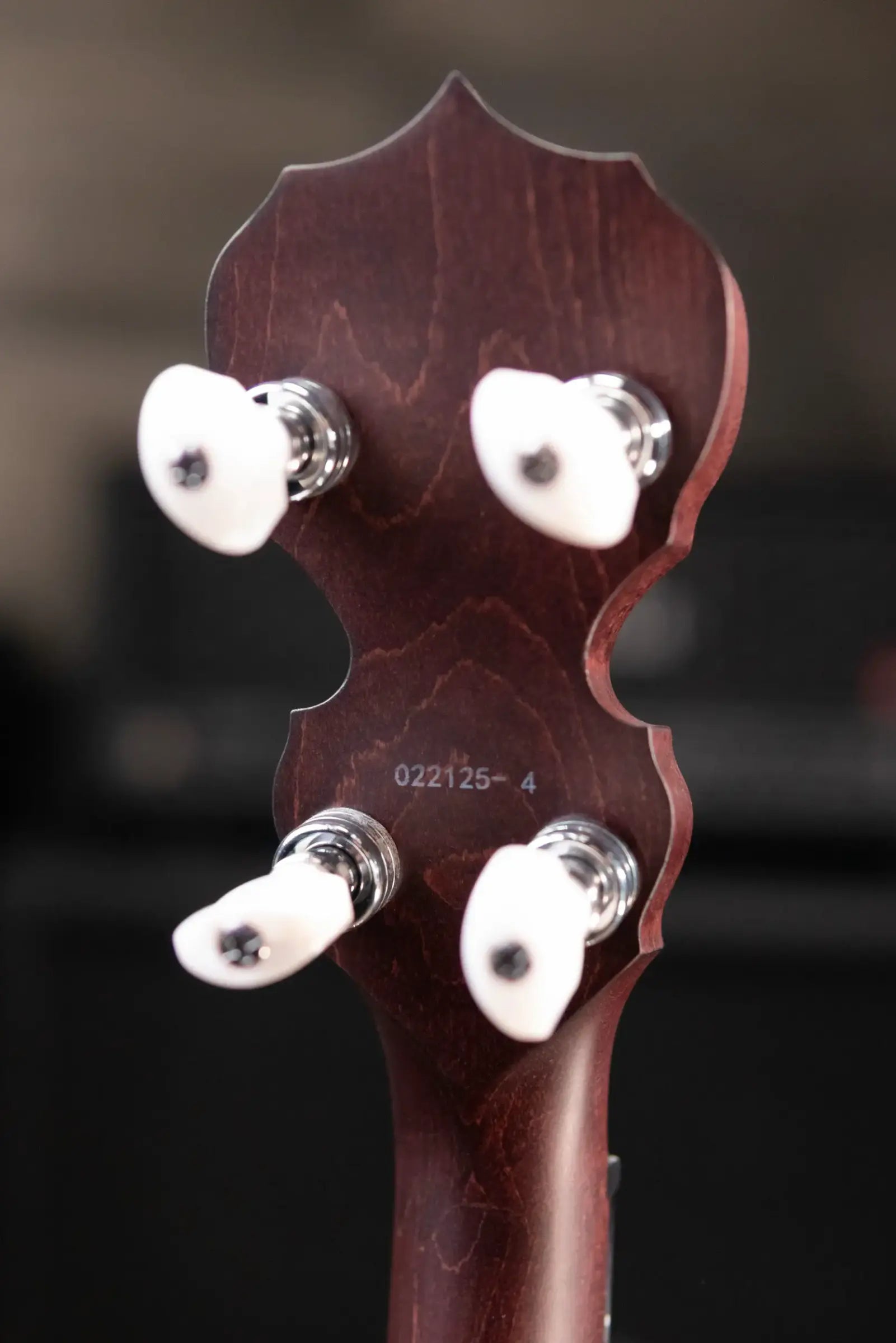 Deering Artisan Goodtime Two Banjo with Resonator