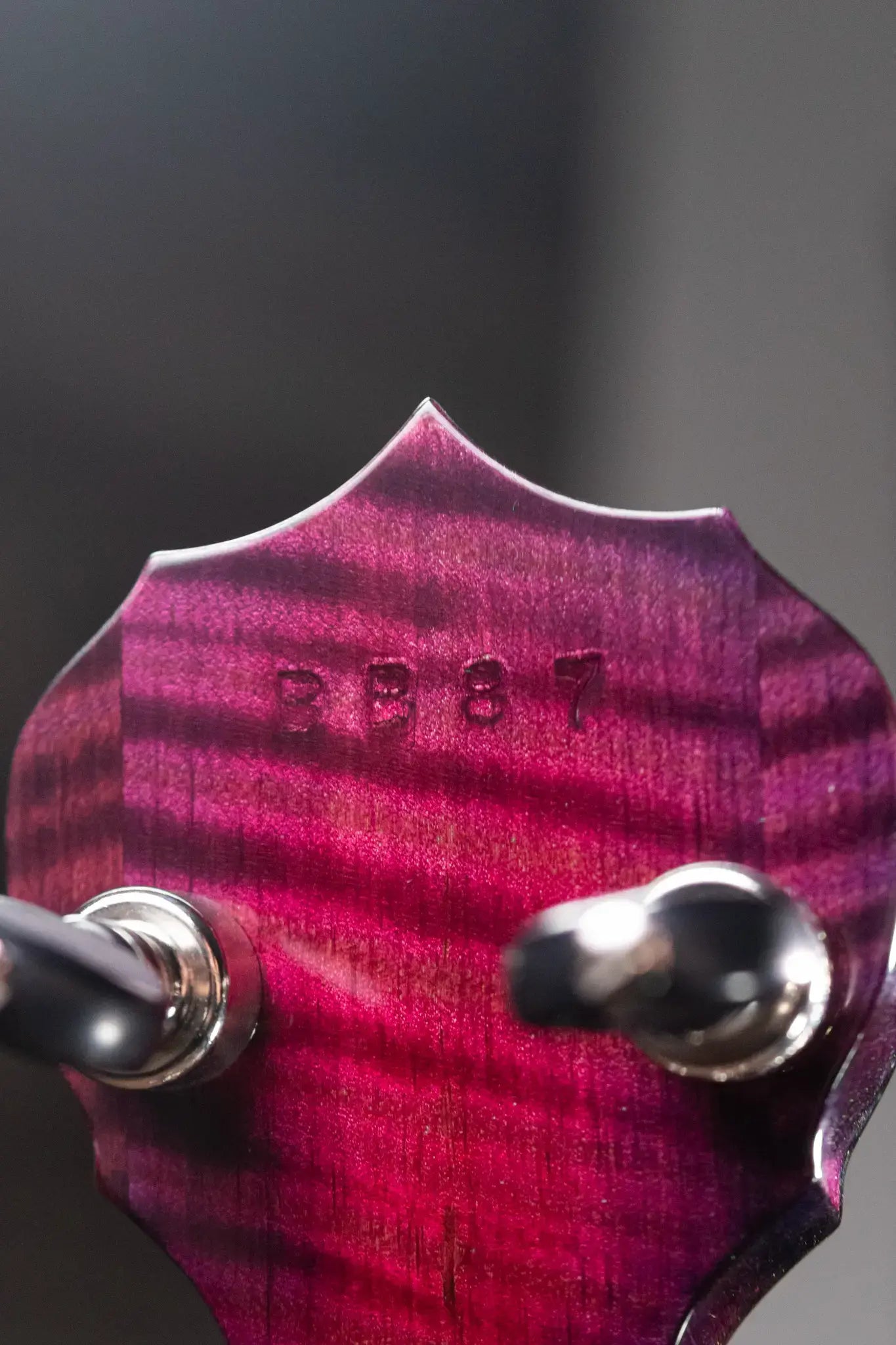 Deering Custom Maple Blossom 5-String Banjo - Blurple Blossom with Hardshell Case