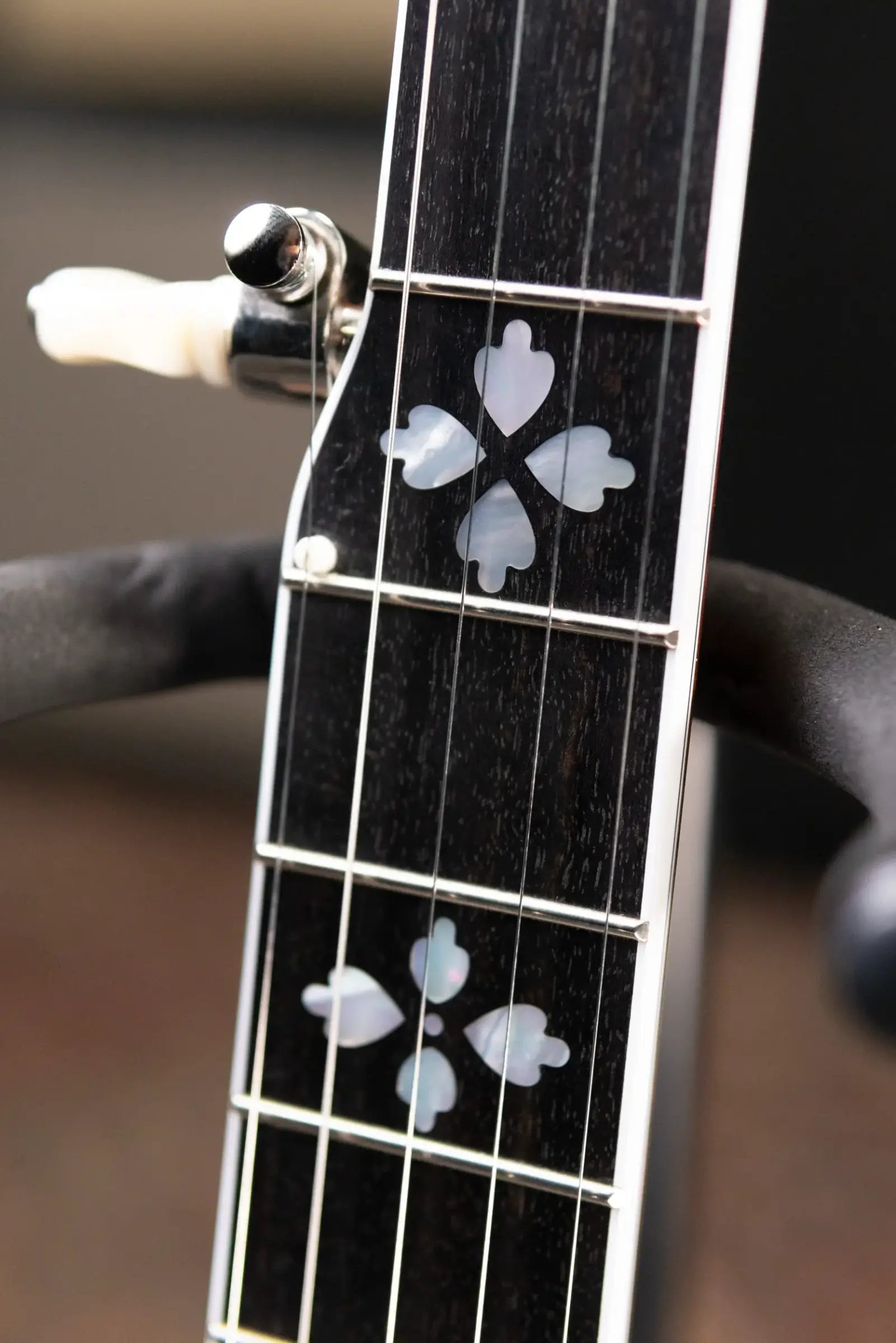 Deering Golden Era 5-String Banjo with Hardshell Case