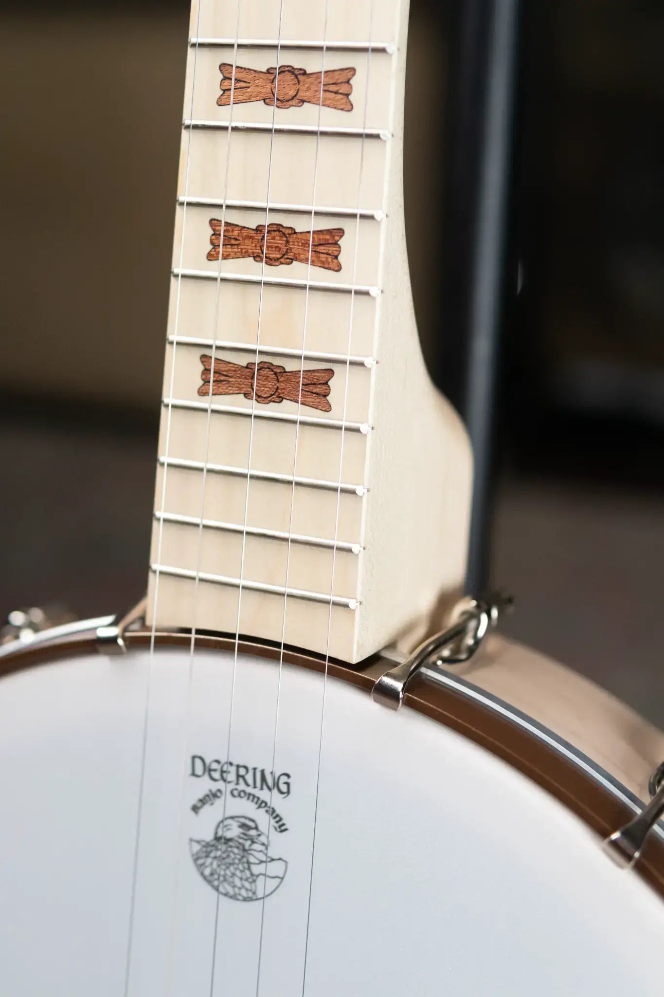 Deering Goodtime 5-String Openback Banjo