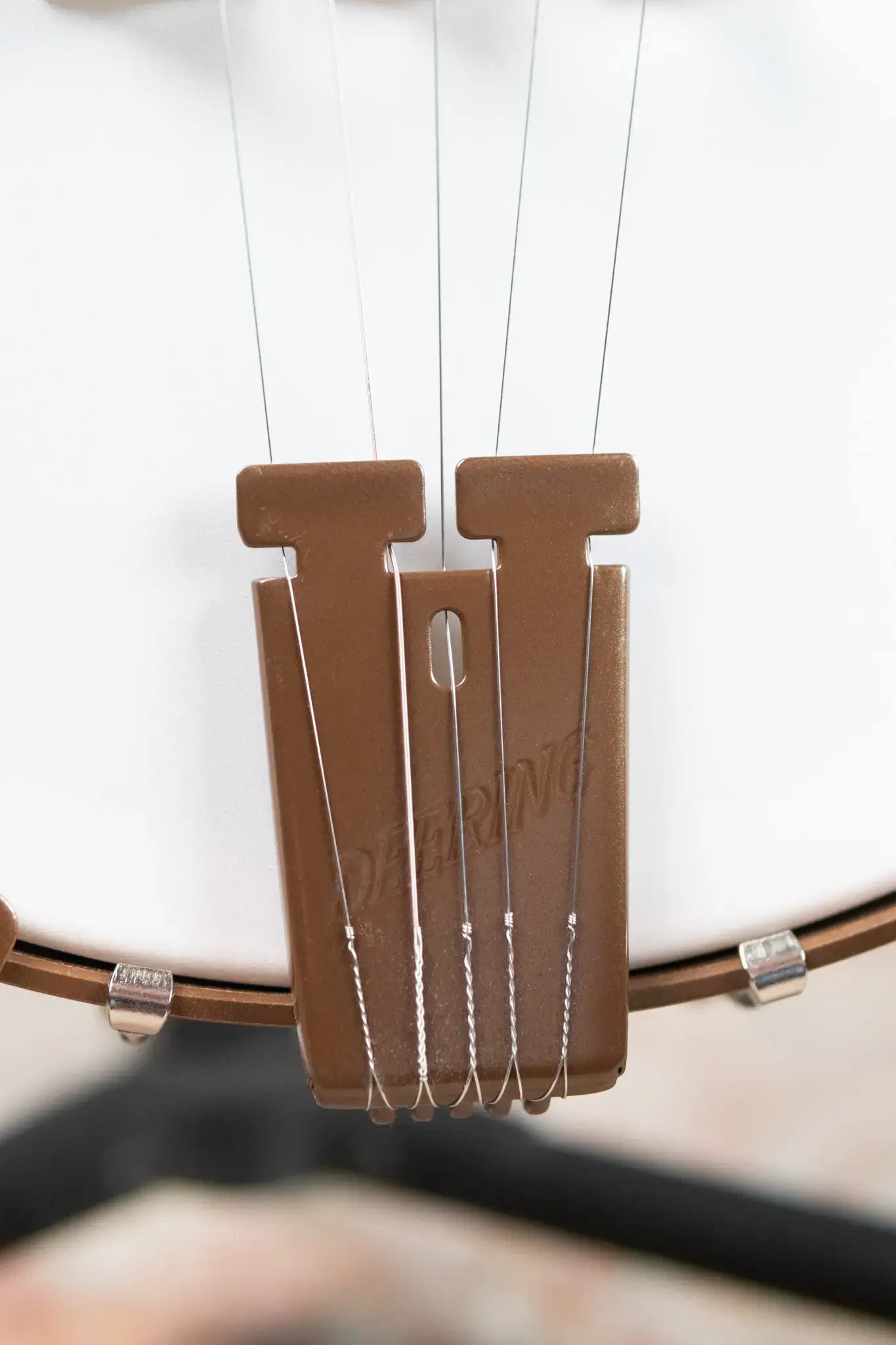 Deering Goodtime 5-String Openback Banjo