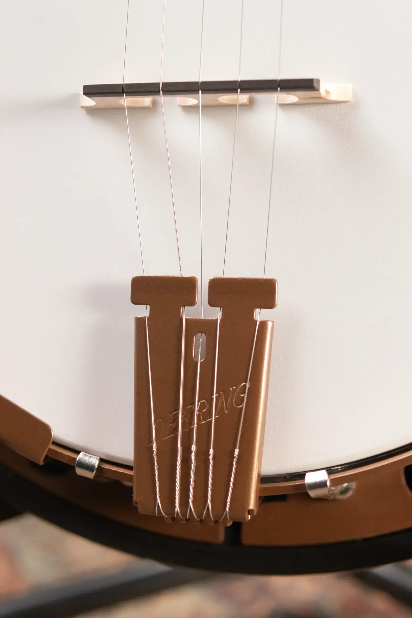 Deering Goodtime Special Banjo with Resonator