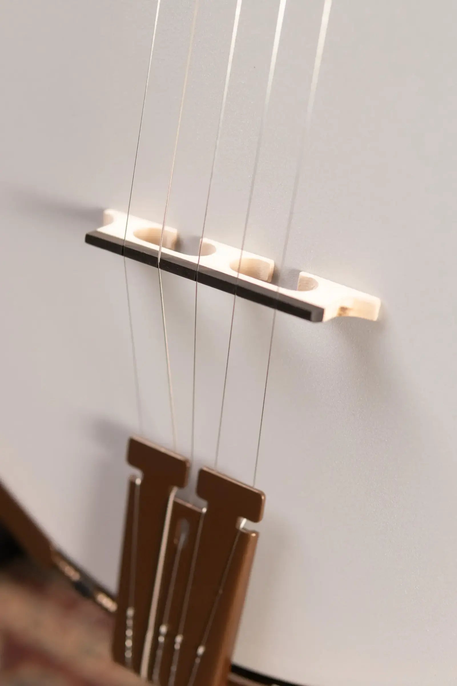 Deering Goodtime Special Banjo with Resonator